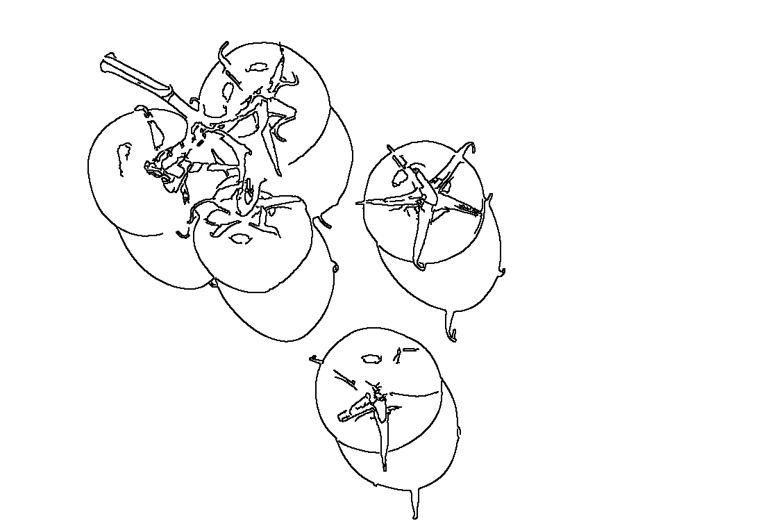 Coloring Page