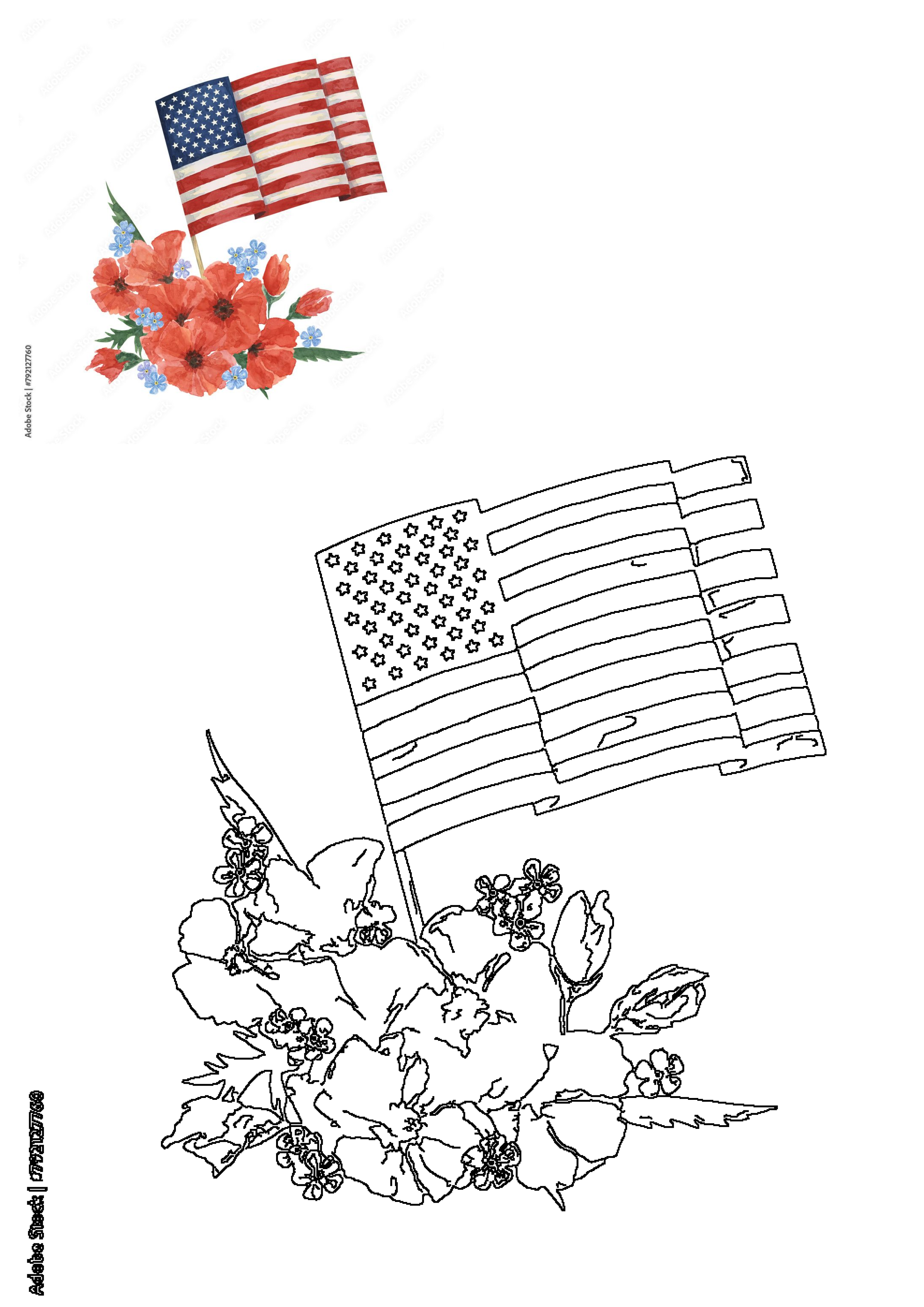A patriotic watercolor illustration featuring an American flag, vibrant red poppies, and delicate blue forget-me-nots, alongside a corresponding outline version.