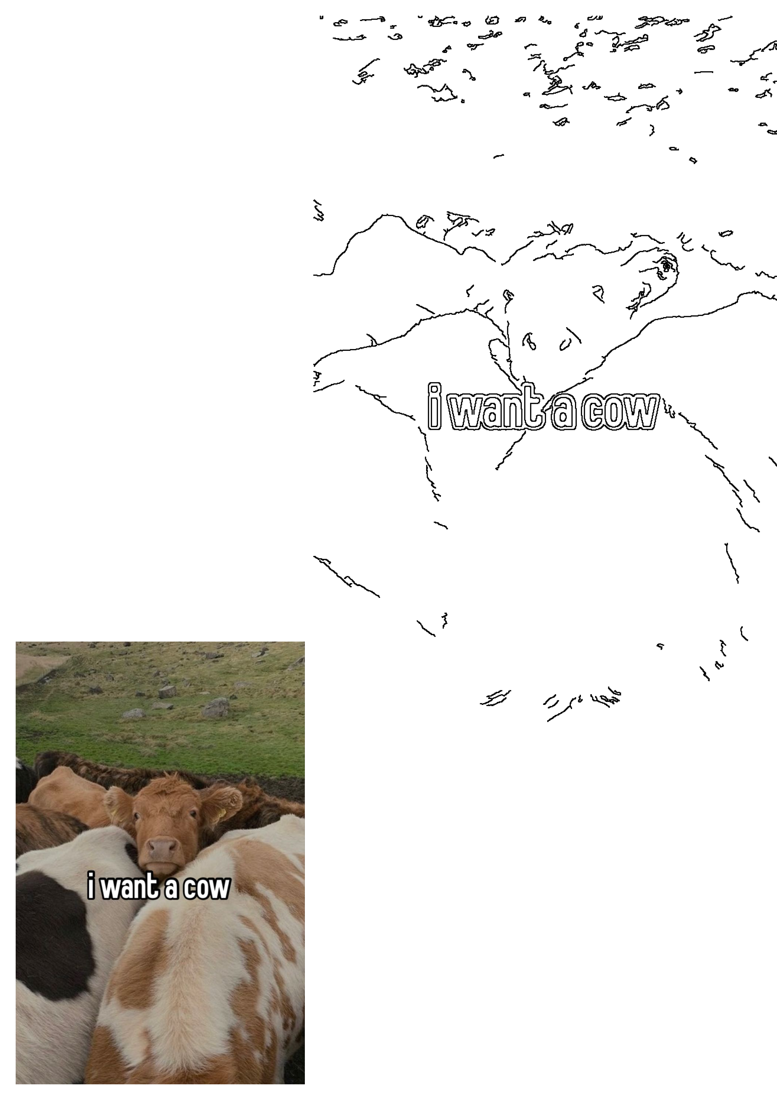 Funny meme of a group of cows in a green grass field with "i want a cow" text. An adorable calf looks directly at the camera.