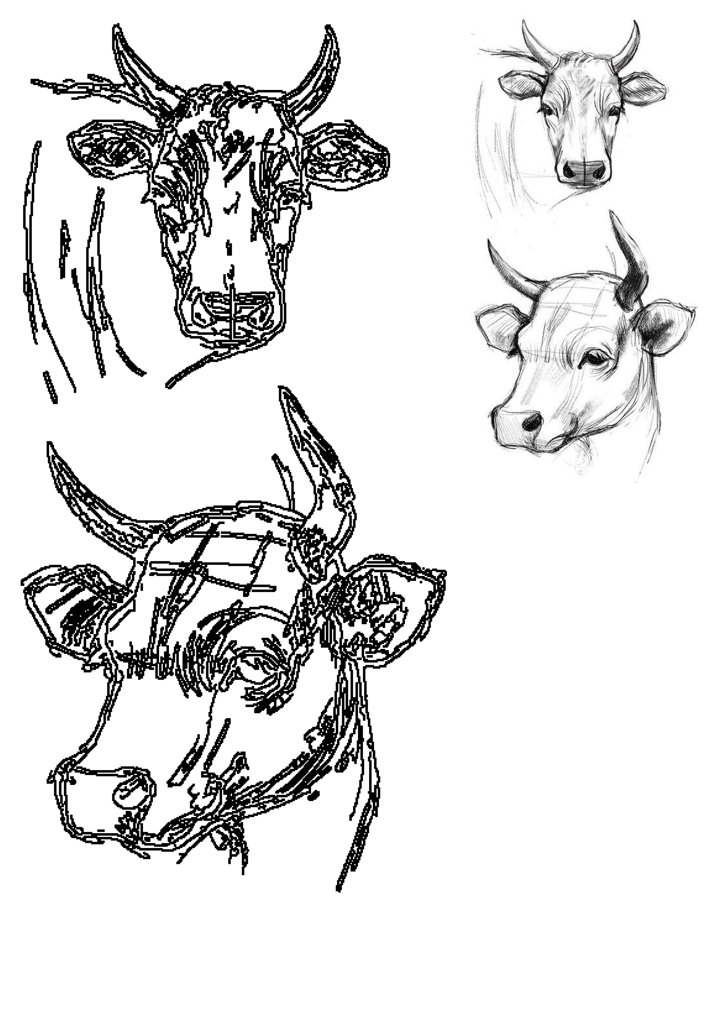 Artistic collection of cow head sketches with horns, showcasing various drawing styles from simple outlines to detailed pencil artwork.