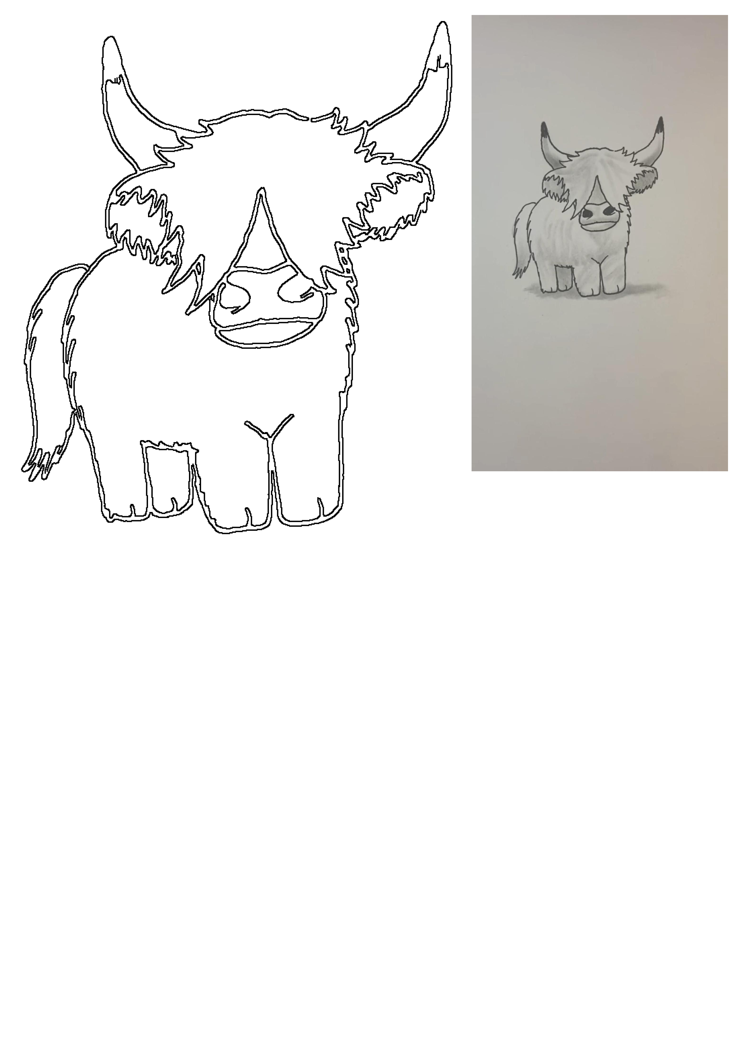 An adorable Highland Cow is presented as a clean outline drawing and a charming, shaded pencil sketch of the shaggy cattle.