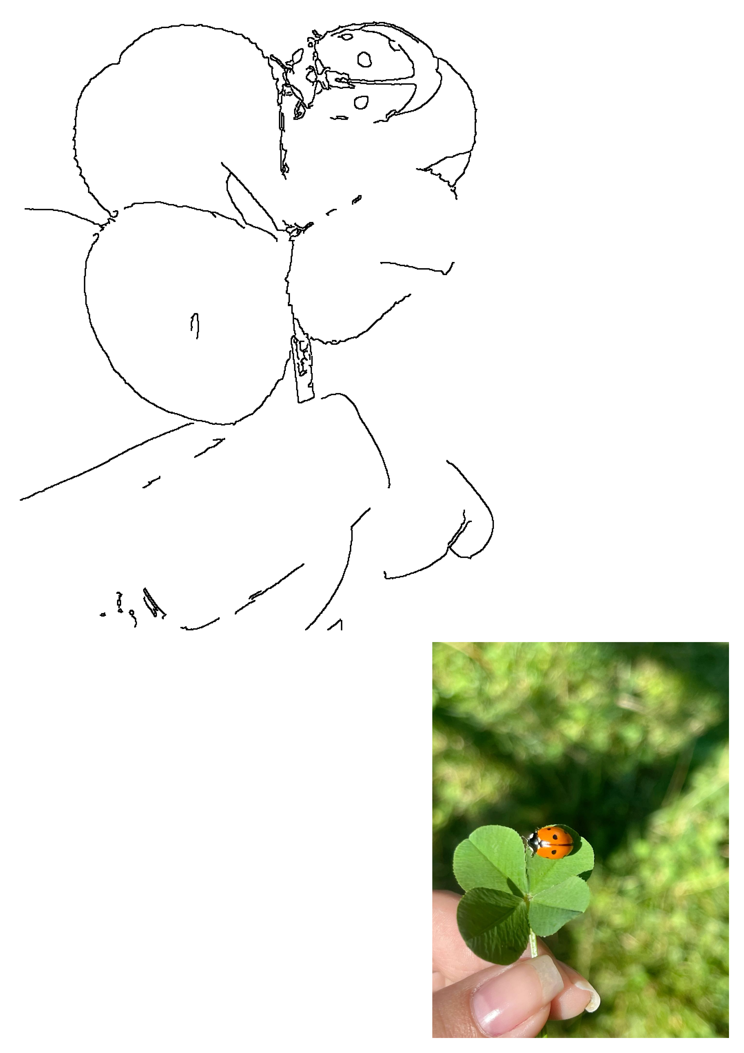 A vibrant lucky ladybug rests on a green four-leaf clover, held gently in a hand, capturing the beauty of spring nature.