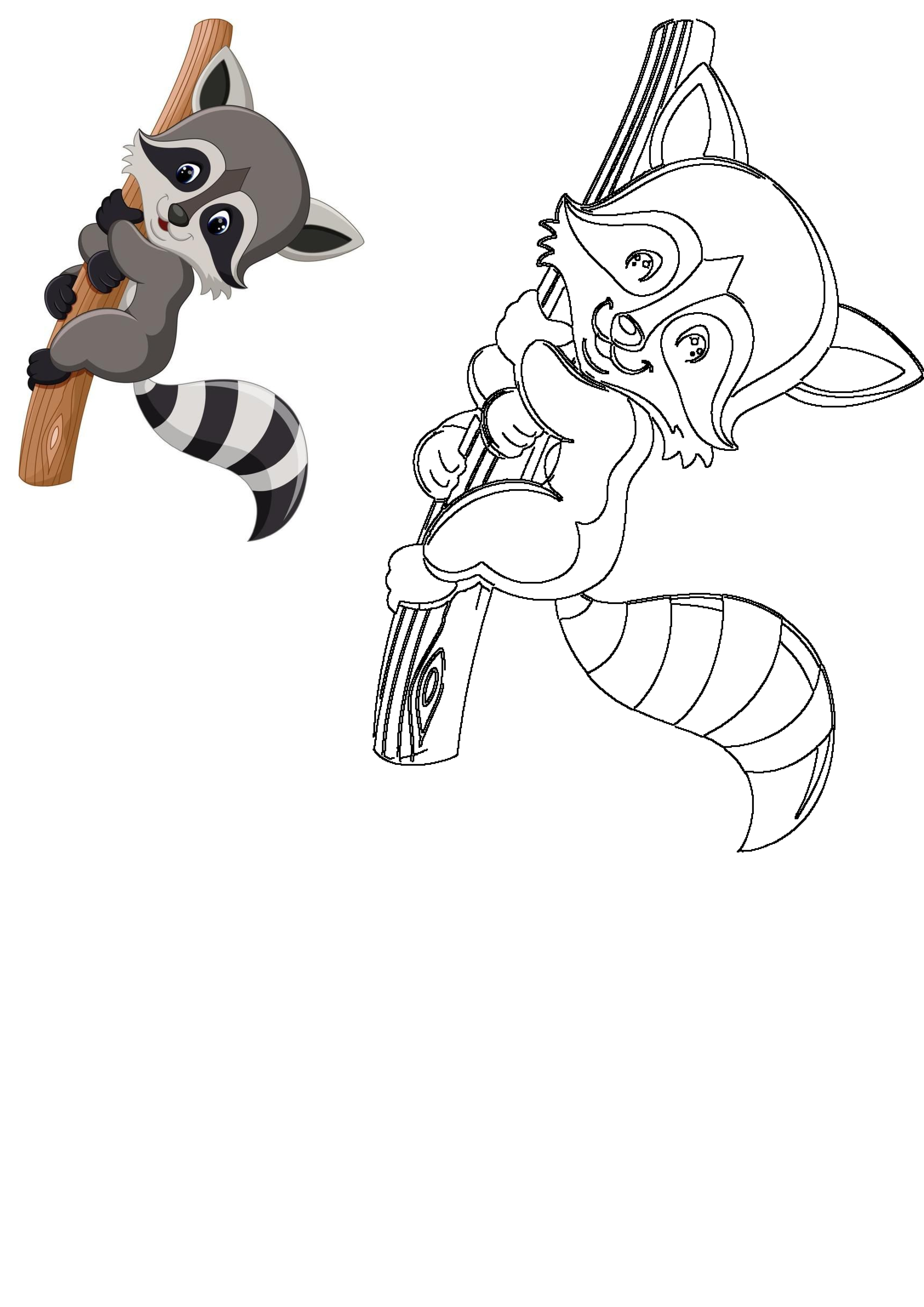 Cute cartoon raccoon illustration with a masked face and striped tail, happily climbing a tree branch. Includes an outline version.