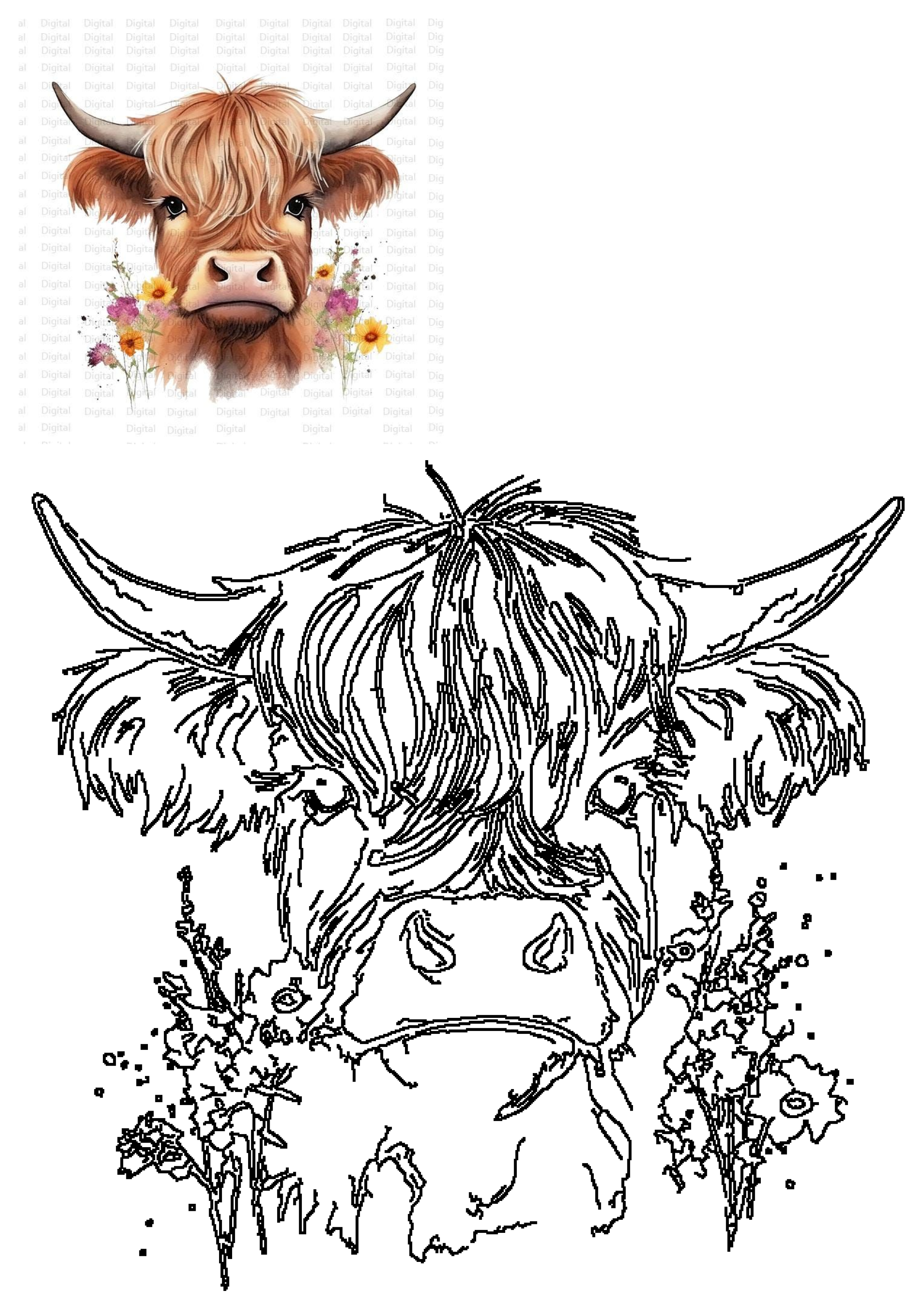 Watercolor Highland Cow Floral Clipart Png Digital Download. Includes vibrant watercolor art and a black outline version for coloring.