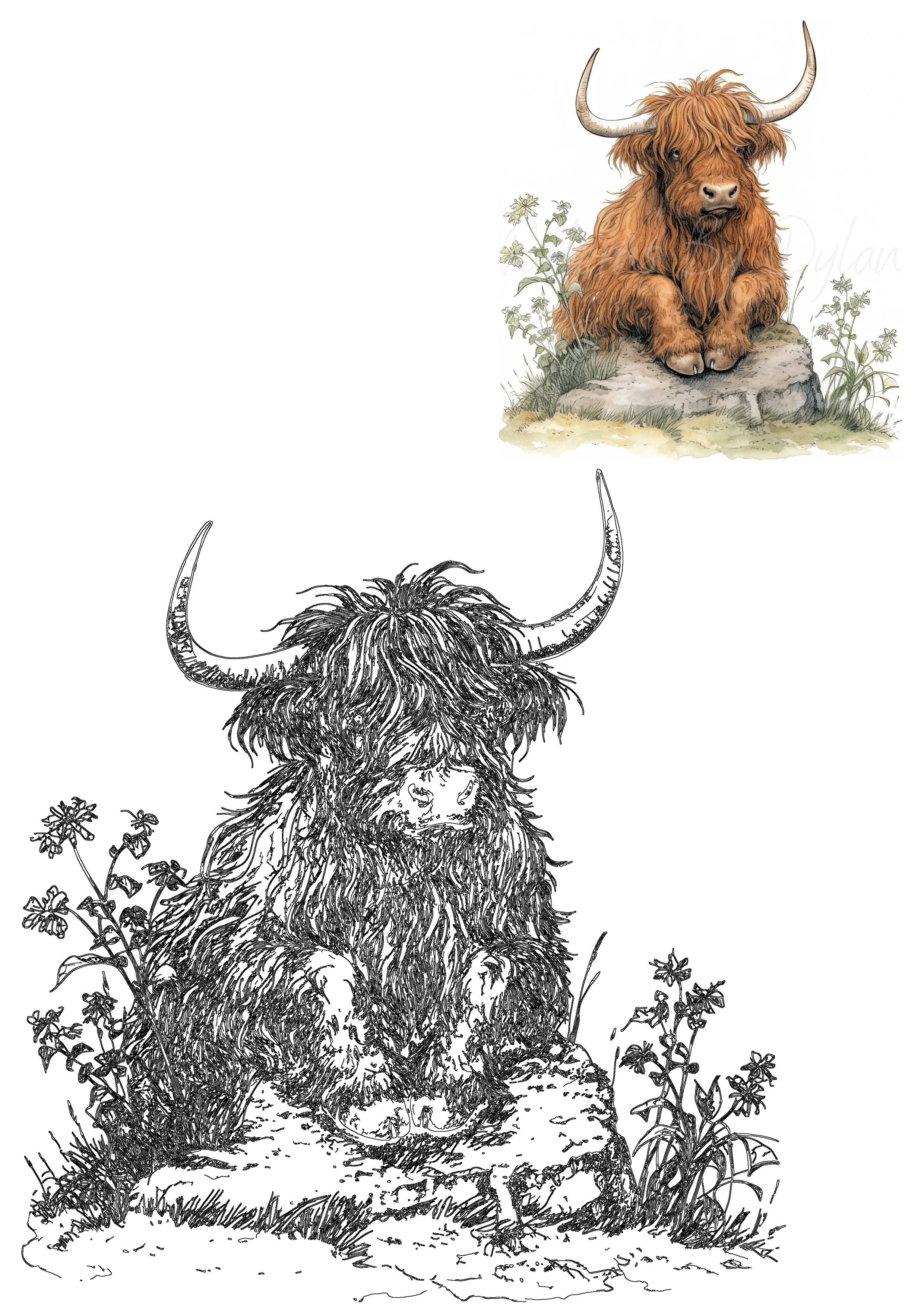 Hand-drawn illustration of a cute Highland cow calf sitting on a rock among flowers, with a black and white outline version. Perfect farm animal clip art.