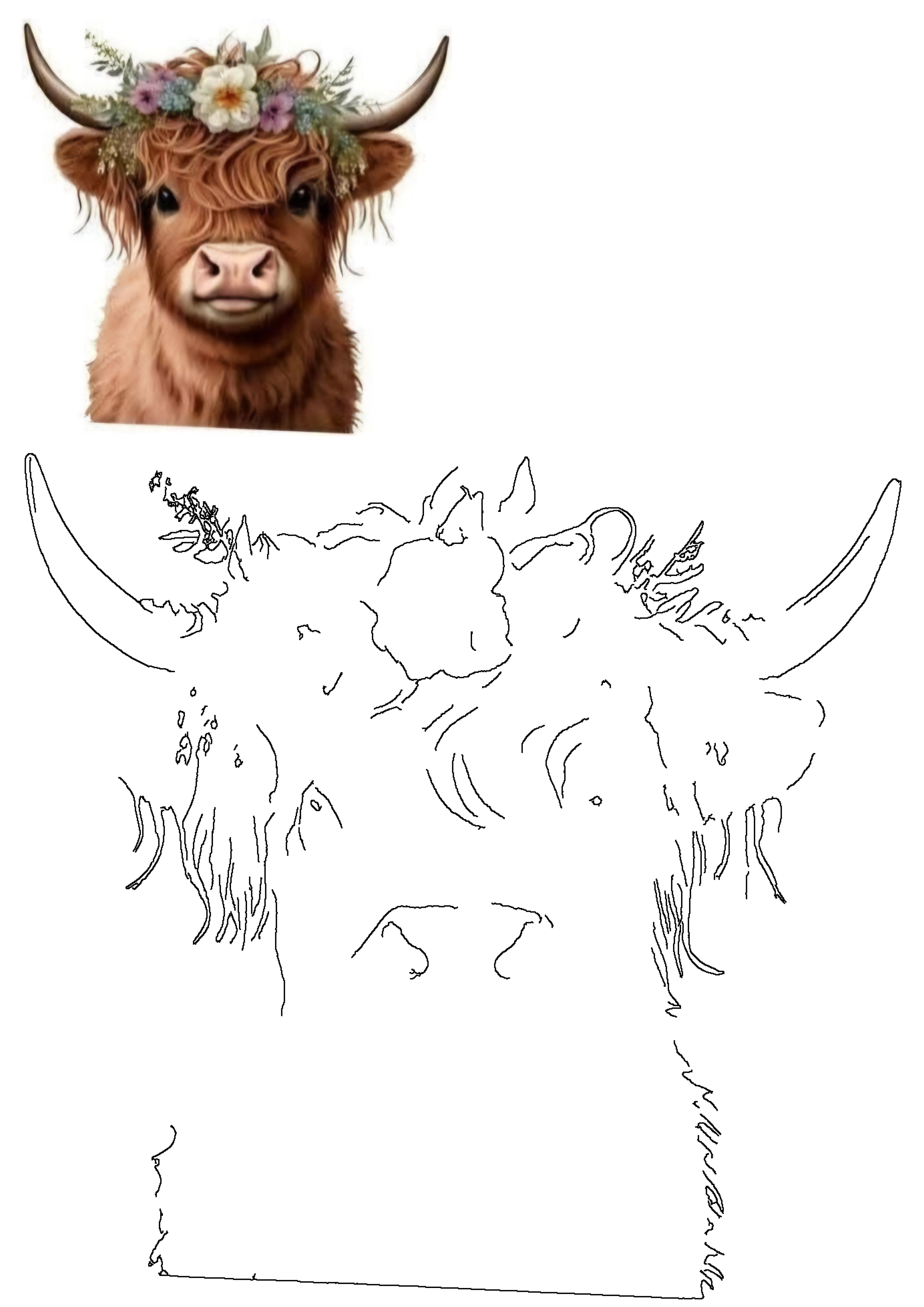 Highland cow with a vibrant flower crown, presented as a detailed art painting and a clean outline drawing for tattoo or crafts.