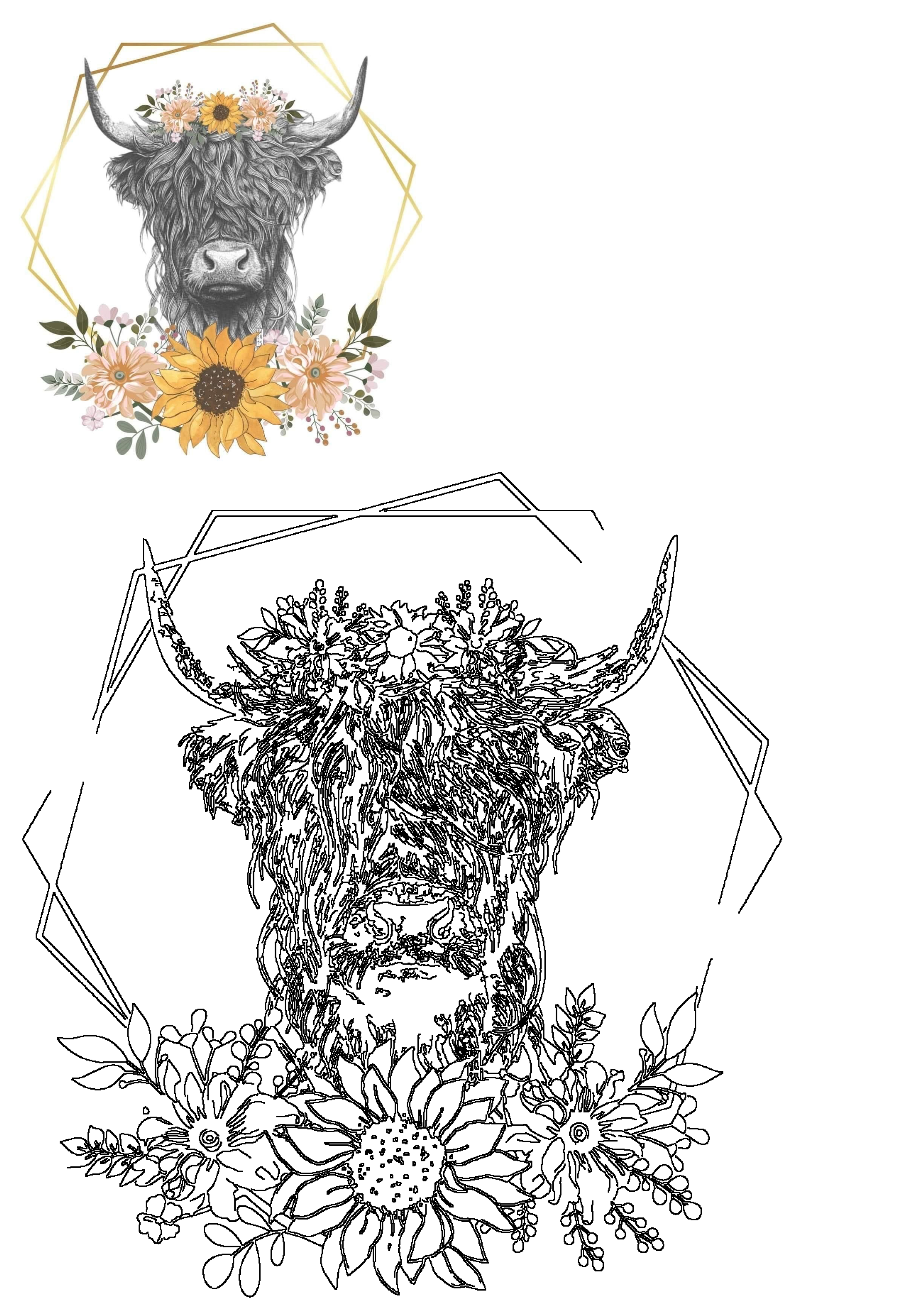 Fluffy Highland cow with sunflower floral crown in a gold geometric frame. Also features a black and white line art coloring page.