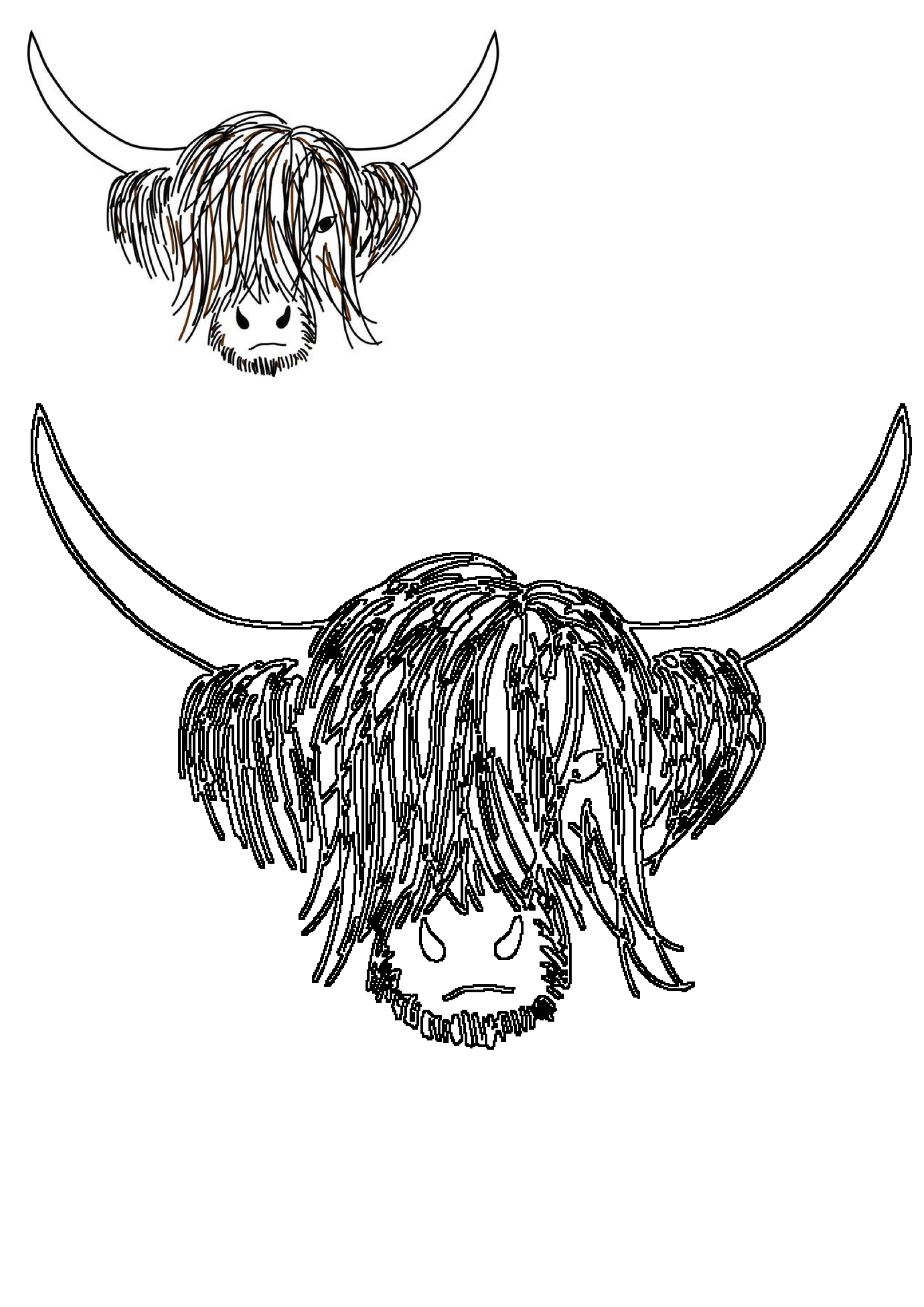 A simple line art illustration featuring a shaggy Highland cow head with long horns, accompanied by a smaller, colored version of the design.