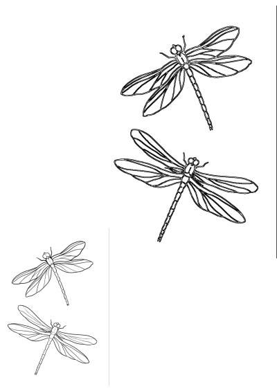 Minimalist outline drawing featuring four elegant dragonflies with intricate wings in various poses against a clean white background.