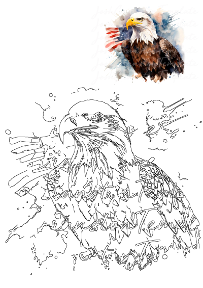 Vibrant watercolor American Eagle Flag illustration showing a majestic bald eagle with a blurred US flag, accompanied by a detailed line art outline.