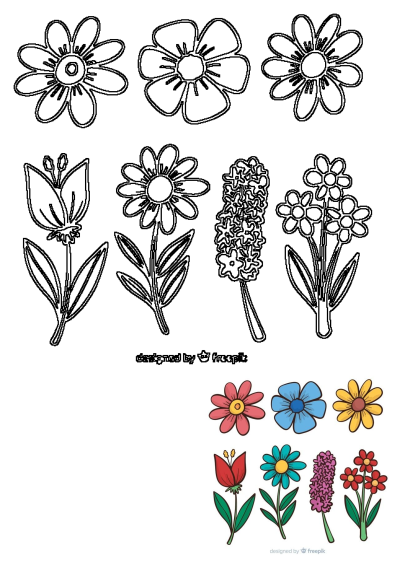 Vibrant cartoon flower collection clipart, featuring diverse floral designs in both black and white outlines and cheerful, colorful illustrations.