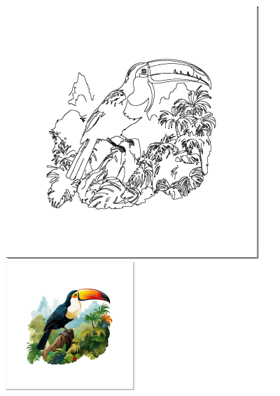 Toucan bird on a tree branch in a lush jungle, shown as a vibrant colorful illustration and a black and white outline.
