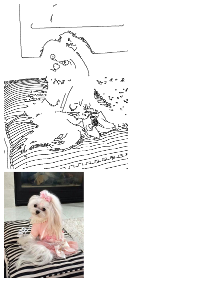 A cute Maltese dog with a pink bow and pearls, wearing a pink dress, sits elegantly on a black and white striped pillow.