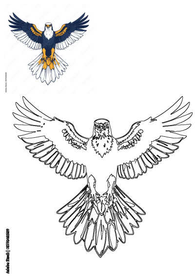Vibrant eagle flying with wings spread, featuring blue, gold, white feathers, alongside a detailed black and white outline for coloring.