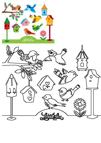 Image features vibrant birds flying and perched near colorful birdhouses and blooming tree branches, along with outline versions for a creative activity.