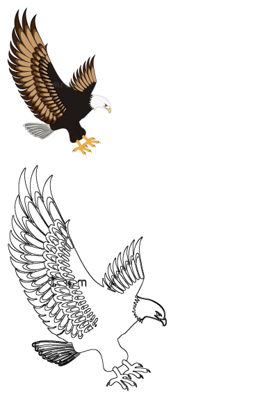 Dynamic illustration of an eagle with widely spread wings in flight, presented in both a vivid color version and a simple outline drawing.