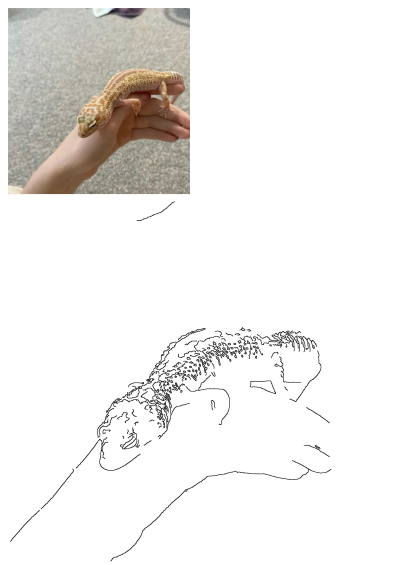 Close-up of a cute, spotted leopard gecko gently held in a person's hand, showcasing its unique patterns and docile nature as a pet.