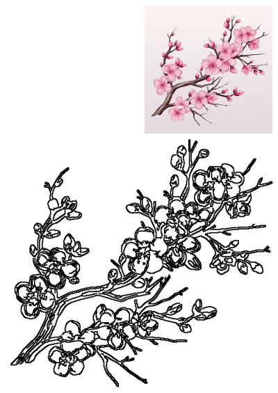 Vibrant pink cherry blossom branch illustration with open flowers and buds, accompanied by a detailed line art drawing.