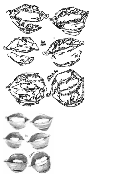 Detailed pencil drawings capturing various human lip expressions, including smiles and a 'shhh' pose, perfect for art reference.
