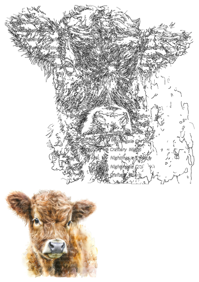 Charming watercolor Highland cow calf clipart, perfect for digital download projects. Features a fluffy brown calf with an endearing gaze.