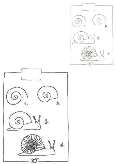 Learn to draw a snail with this easy step-by-step guide for kids and beginners, showing four stages from a basic shell to a detailed creature.