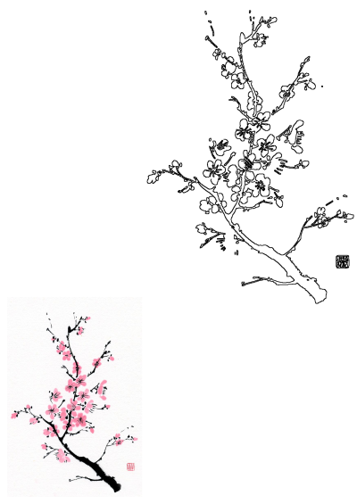 Vibrant Chinese cherry blossom tree painting with delicate pink flowers, showcased alongside its crisp black line art for reference.