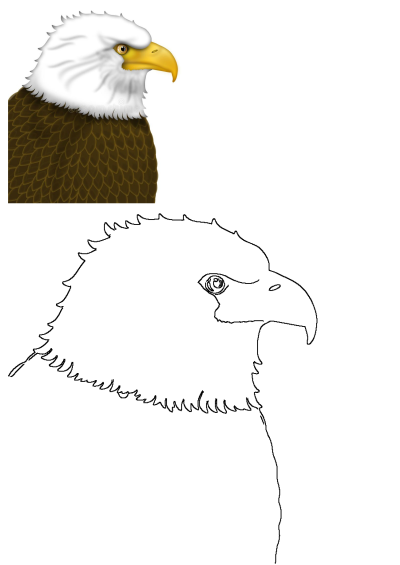 Colored illustration of an eagle's head with white feathers, yellow beak, and brown body in profile, with a simple black outline below.