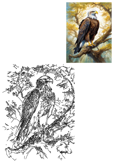 Stunning painting of an eagle perched on a tree branch, illuminated by sunlight through golden leaves, with a corresponding line art outline.