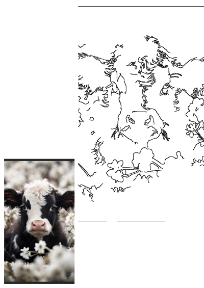 A cute black and white calf with a gentle gaze, nestled among delicate white flowers in a sunny field.