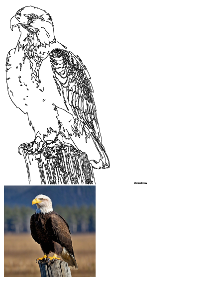 A majestic bald eagle with its distinctive white head and tail feathers perched proudly on a weathered wooden post, looking alertly.