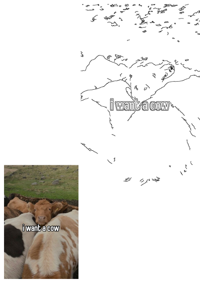 Funny meme of a group of cows in a green grass field with "i want a cow" text. An adorable calf looks directly at the camera.