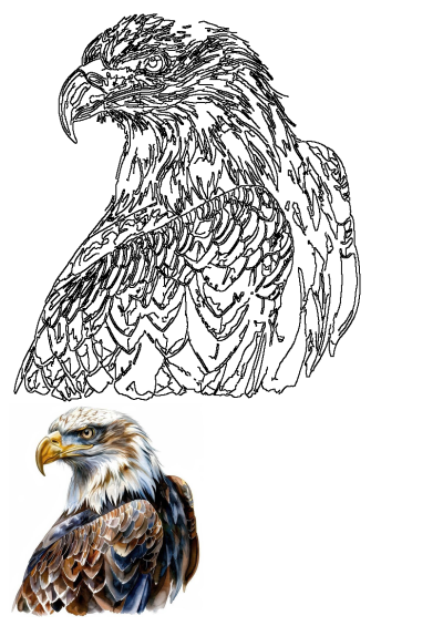 Detailed watercolor eagle painting and its black line art outline, showcasing intricate feather illustration on a clean white background.