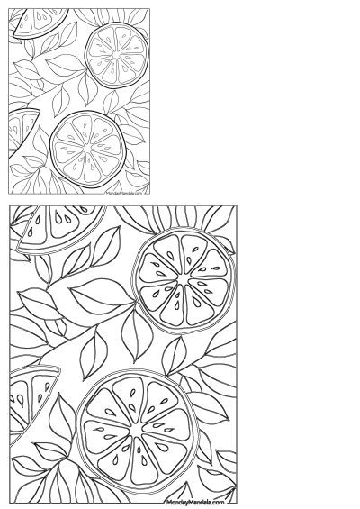 Free printable PDF featuring a beautiful line art pattern of fresh lemon slices and leaves, perfect for adult and kids coloring.