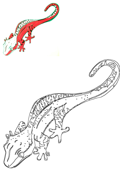 Striking red and white lizard drawing on white background. Features black patterns, green outlines, and a clean line art version.