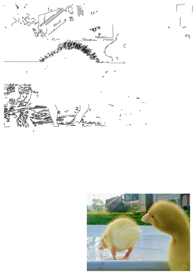 Two cute ducklings playing in water outside. One fluffy yellow duckling splashes in a container while another watches nearby on a sunny day.