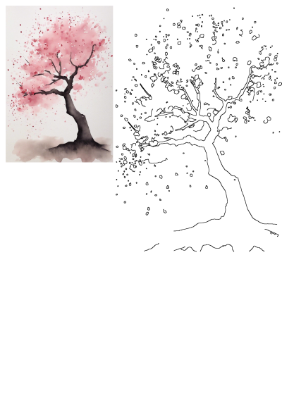 Elegant watercolor painting of a pink cherry blossom tree with scattered petals, paired with a clean black outline drawing.