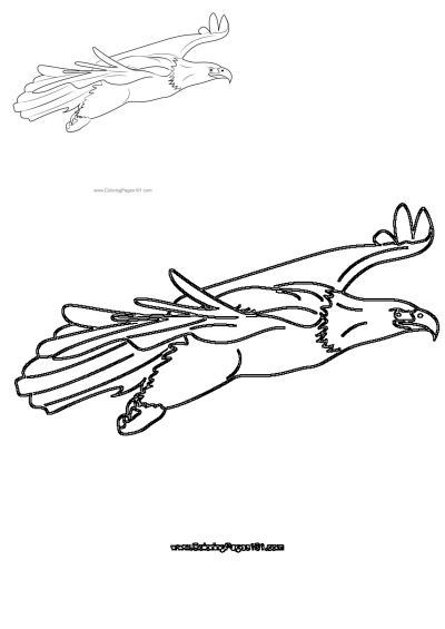 An outline drawing of an eagle in full flight, soaring through the sky. This detailed image is perfect for coloring activities.