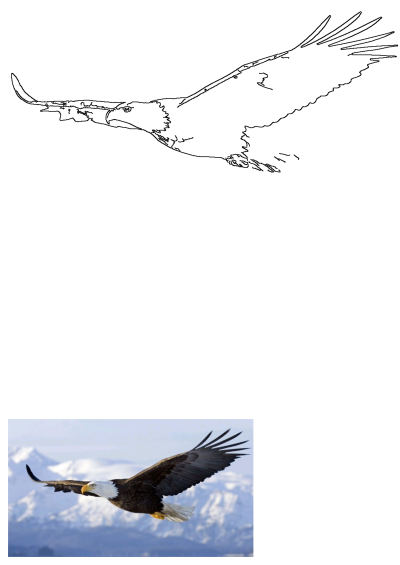 A majestic bald eagle soars with wide wings over snow-capped mountains and a cloudy sky, depicting powerful flight.