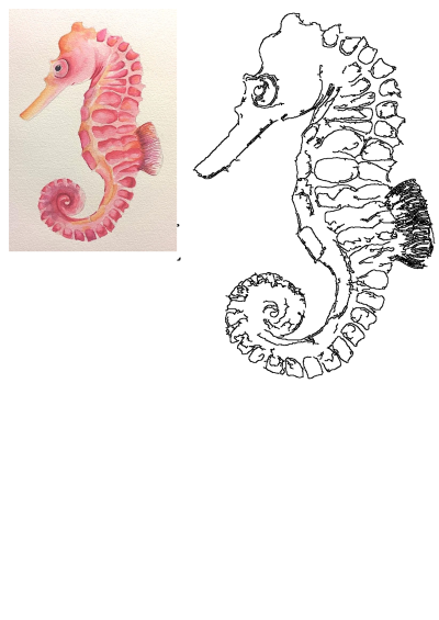 Vibrant pink seahorse watercolor painting showcasing marine life. Features a curled tail and detailed aquatic art.
