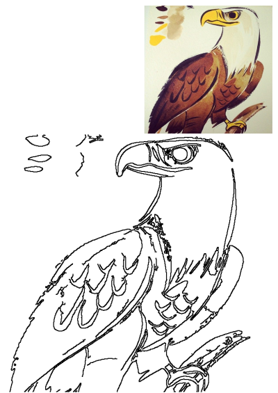 A striking watercolor painting of a bald eagle with a white head and brown body, perched on a branch, alongside its outline drawing for coloring.