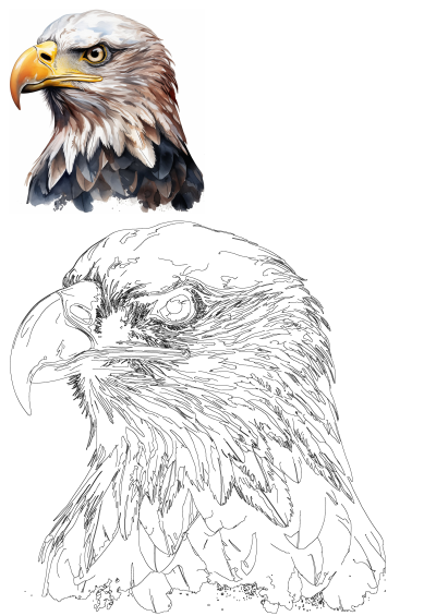 Artistic watercolor eagle head portrait illustration with white head, brown feathers, golden beak, and a matching line art outline.