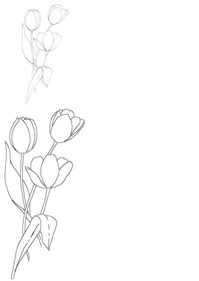 Detailed black and white line art of six elegant tulip flowers in two distinct bouquets on a clean white background.