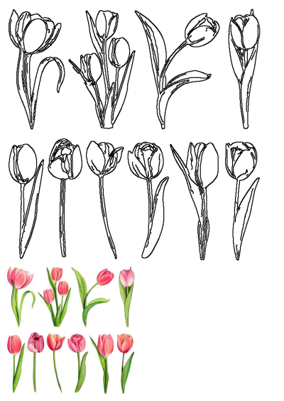 A diverse collection of pink watercolor tulips and complementary black line art outlines, ideal for spring themes and designs.