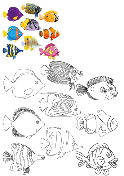 A vibrant collection of cartoon tropical fish, both colorful illustrations and black and white outlines, against a clean white background.