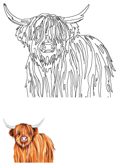Detailed watercolor Highland cow art print featuring shaggy hair and long horns, complemented by its crisp line drawing outline.