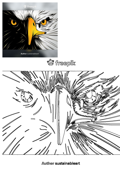 Vector illustration of an eagle's head with piercing yellow eyes, a bright orange beak, and white feathers on a black background.