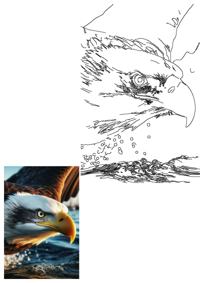 A majestic eagle with wings spread, flying over sparkling water. The powerful bird's head is captured in detail, alongside a bold line art rendition.