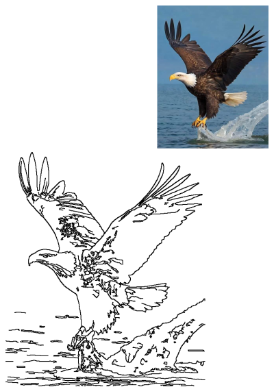 A stunning photo and outline drawing of a bald eagle with wings spread, landing dramatically on ocean water, resembling an ice floe descent.