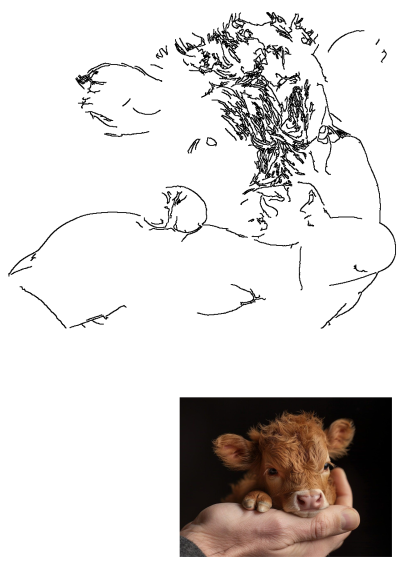 An adorable, tiny, fluffy reddish-brown calf peeks from a human hand against a stark black background. Pure cuteness in a close-up.