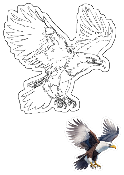 A majestic bald eagle in powerful flight, wings spread wide, captured in both a detailed outline and a vibrant colored version.